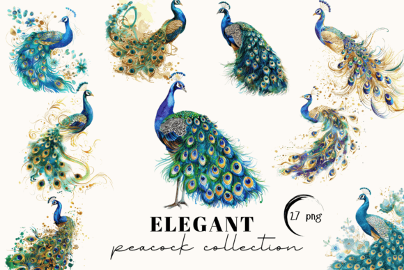 Elevate Your Designs with Peacock Clipart