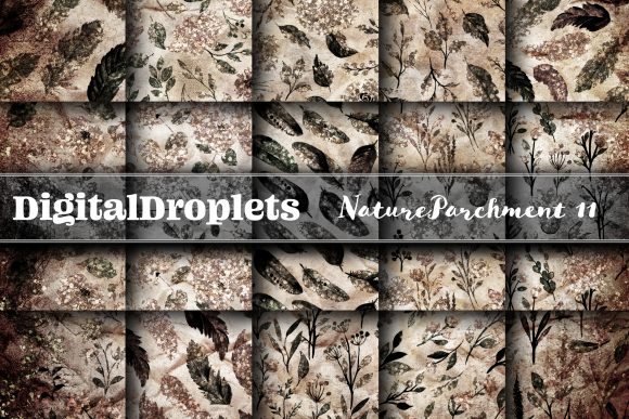 Nature Parchment Vol. 11: Bold Textures for Graphic Design