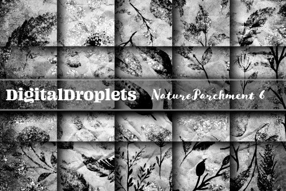 Nature Parchment Vol. 6: Bold Textures for Graphic Design