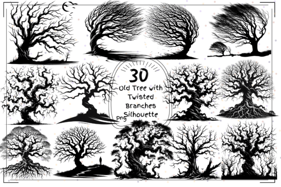 Twisted Tree Silhouettes: Capturing Ancient Forest Drama
